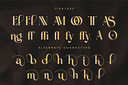 Flangen – Luxury Branding Fonts, a Serif Font by Randi Irvan | Rvandtype (Thumbnail 11 of 12)