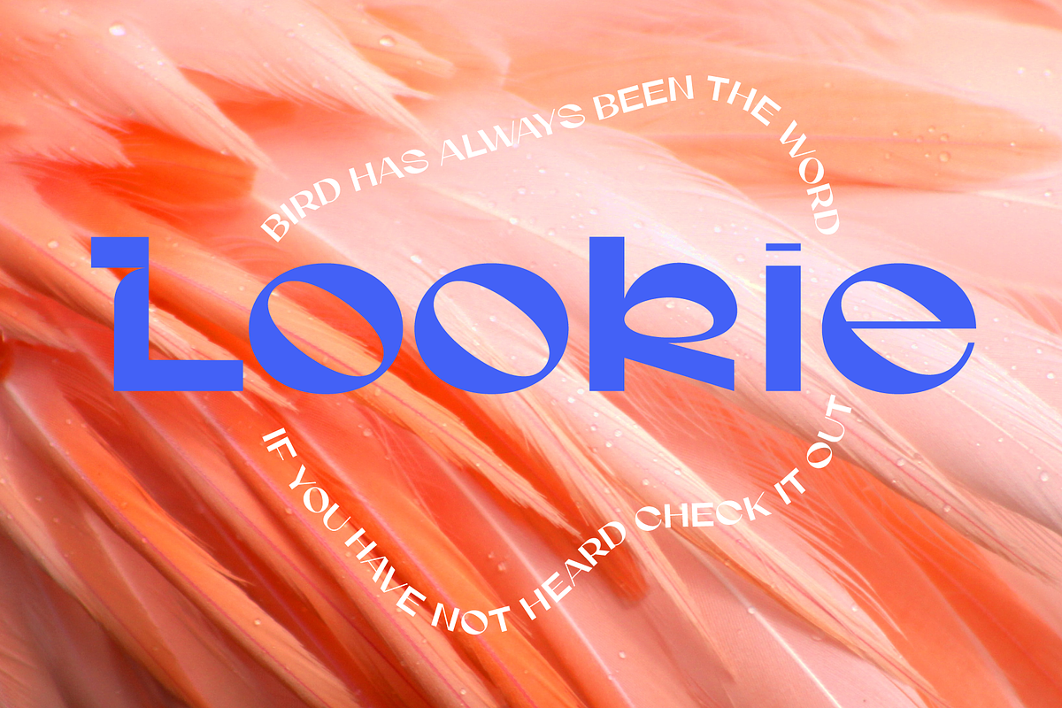 Gunter Display Font, a Sans Serif Font by That That Creative (Photo 18 of 20)