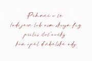 Koddam Miolin amazing script font, a Script Font by Fontcastle (Thumbnail 4 of 7)