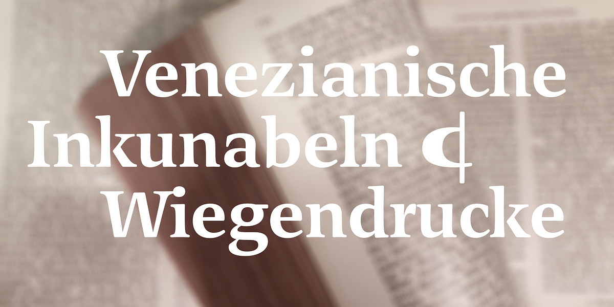 Legit Serif Soft, a Serif Font by Finaltype (Photo 7 of 12)