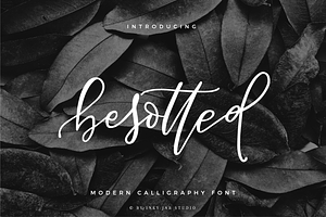 Besotted Modern Calligraphy Script