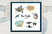Big Life Cycle Bundle, an Education Illustration by Tati Bordiu (Thumbnail 42 of 43)