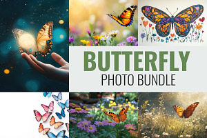 28 photographs of butterfly, an Animal Photo by SouravDesign