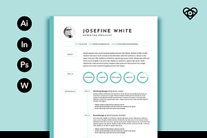 Pastel Resume