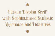 Ovalle – Elegant Display Serif Font, a Serif Font by kangfont Studio (Thumbnail 5 of 12)