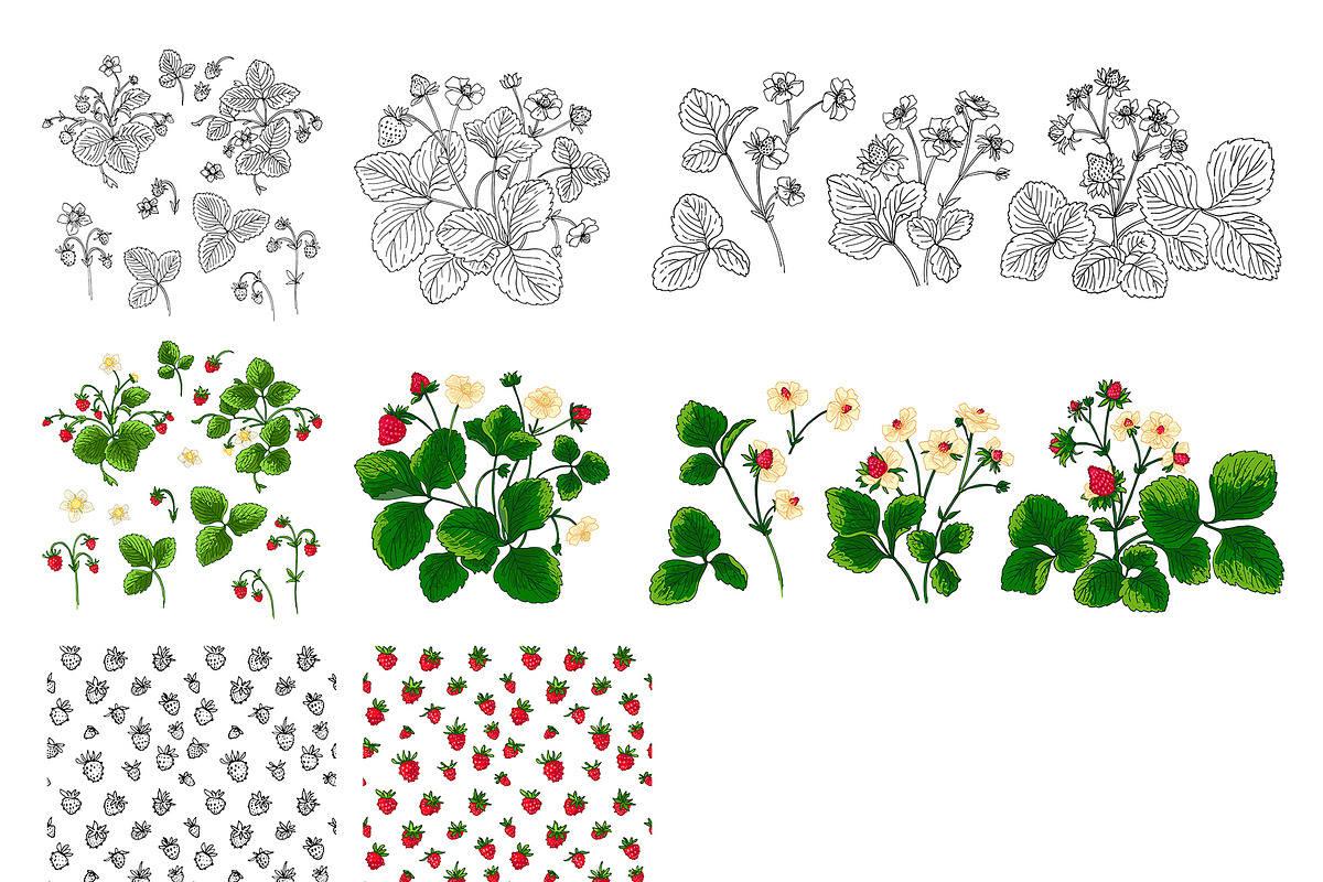 Strawberry berries vector color, a Graphic by irina.vaneeva (Photo 3 of 8)
