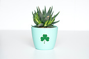 St. Patrick’s Day sticker set, a Seasonal Illustration by JulyGart (Thumbnail 5 of 5)
