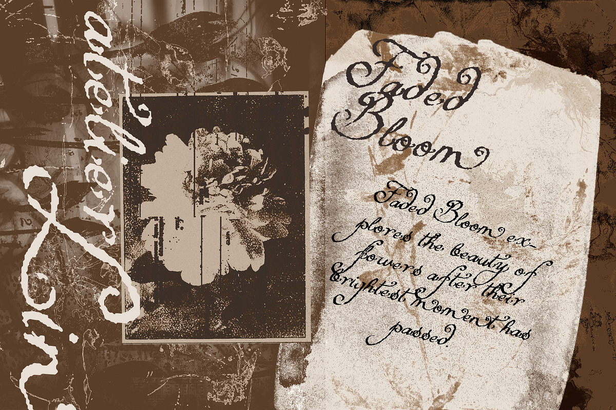 A Dusk Hour – Whimsical Typeface, a Script Font by Setara Langit CreativeStd (Photo 8 of 13)