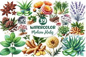 Watercolor Medicine Herbs Clipart, an Illustration by Dream Creation