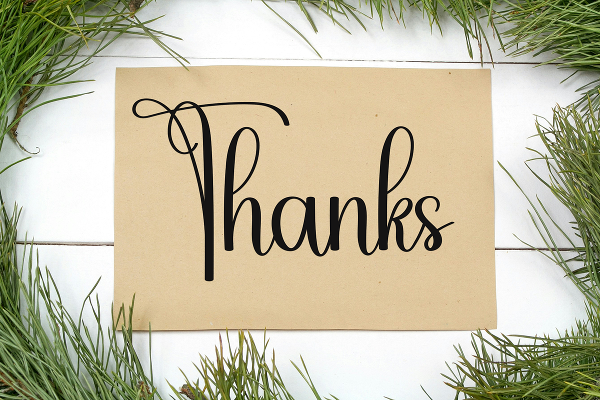 Angelina Calligraphy, a Handwritten Font by FreshTypeINK (Photo 7 of 8)