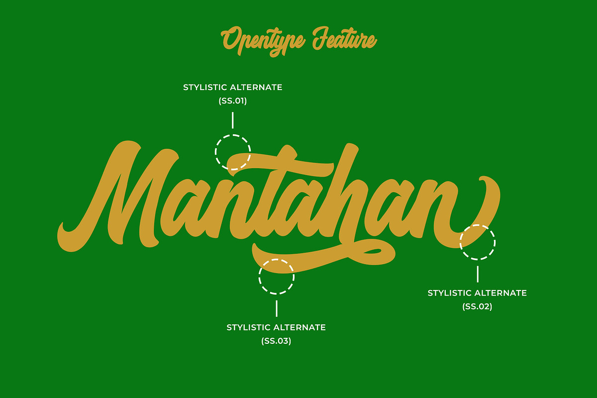 Hardega Bold Script Font, a Script Font by RantautypeStudio (Photo 10 of 17)