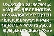 Monstera - Delicious Retro Serif, a Serif Font by Fenotype (Thumbnail 12 of 13)