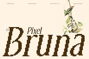 CS Bruna Pixel, a Serif Font by Craft Supply Co. (Thumbnail 1 of 8)