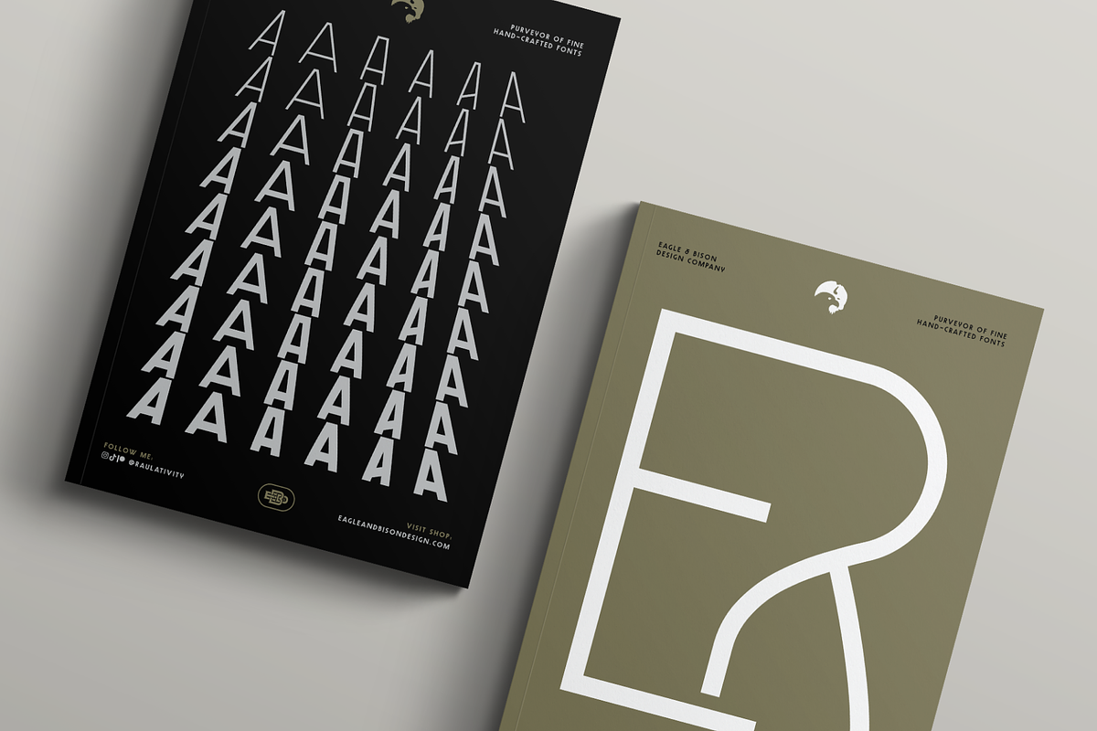 Leonidas Sans - Variable Weight Font, a Sans Serif Font by Eagle & Bison Design Co. (Photo 10 of 11)