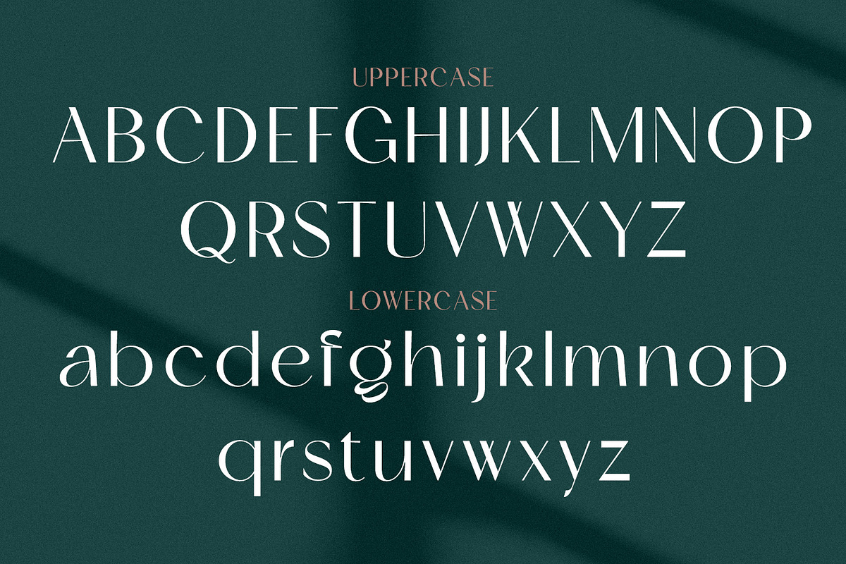 Skeina Elegant Sans Serif, a Sans Serif Font by MJtypefoundry (Photo 11 of 12)