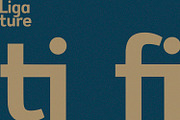 Flowfield - Sans Serif Font, a Sans Serif Font by Alpaprana (Thumbnail 2 of 10)