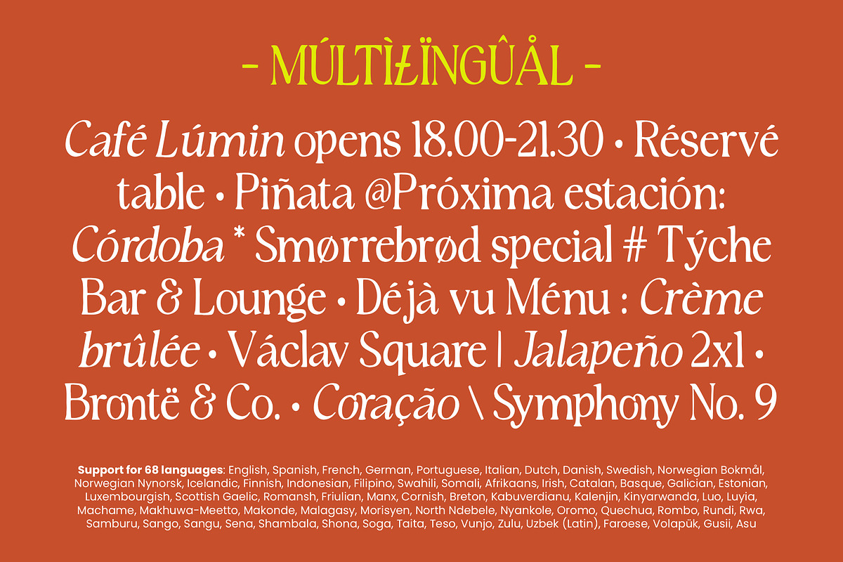 Rustique Serif, a Serif Font by Youngtype.Std (Photo 8 of 11)