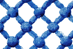 Abstract blue net pattern with round textured joints on white ba, an Animal Photo by José Manuel Gelpi