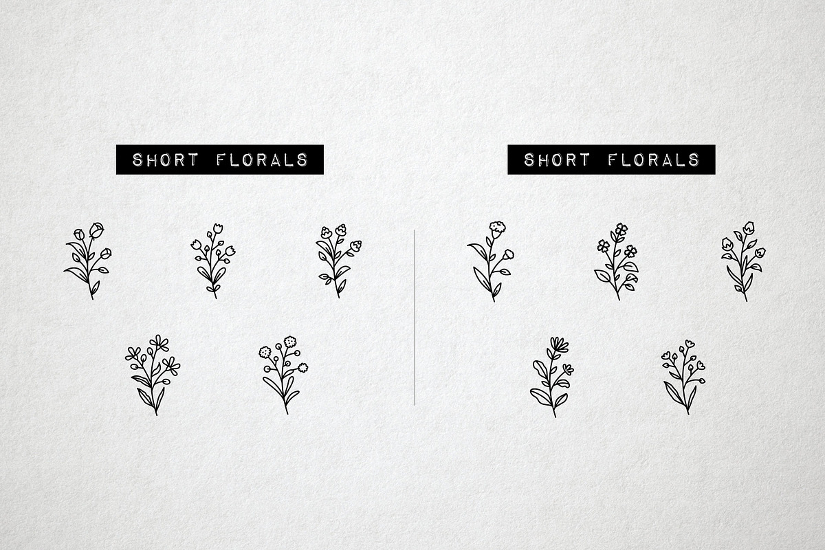 60 Flower and Floral Icons - Vol 2, an Outline Icon by Hatch Design Workshop (Photo 7 of 10)