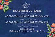 The Bakersfield Font Trio, a Handwritten Font by Nicky Laatz (Thumbnail 18 of 18)