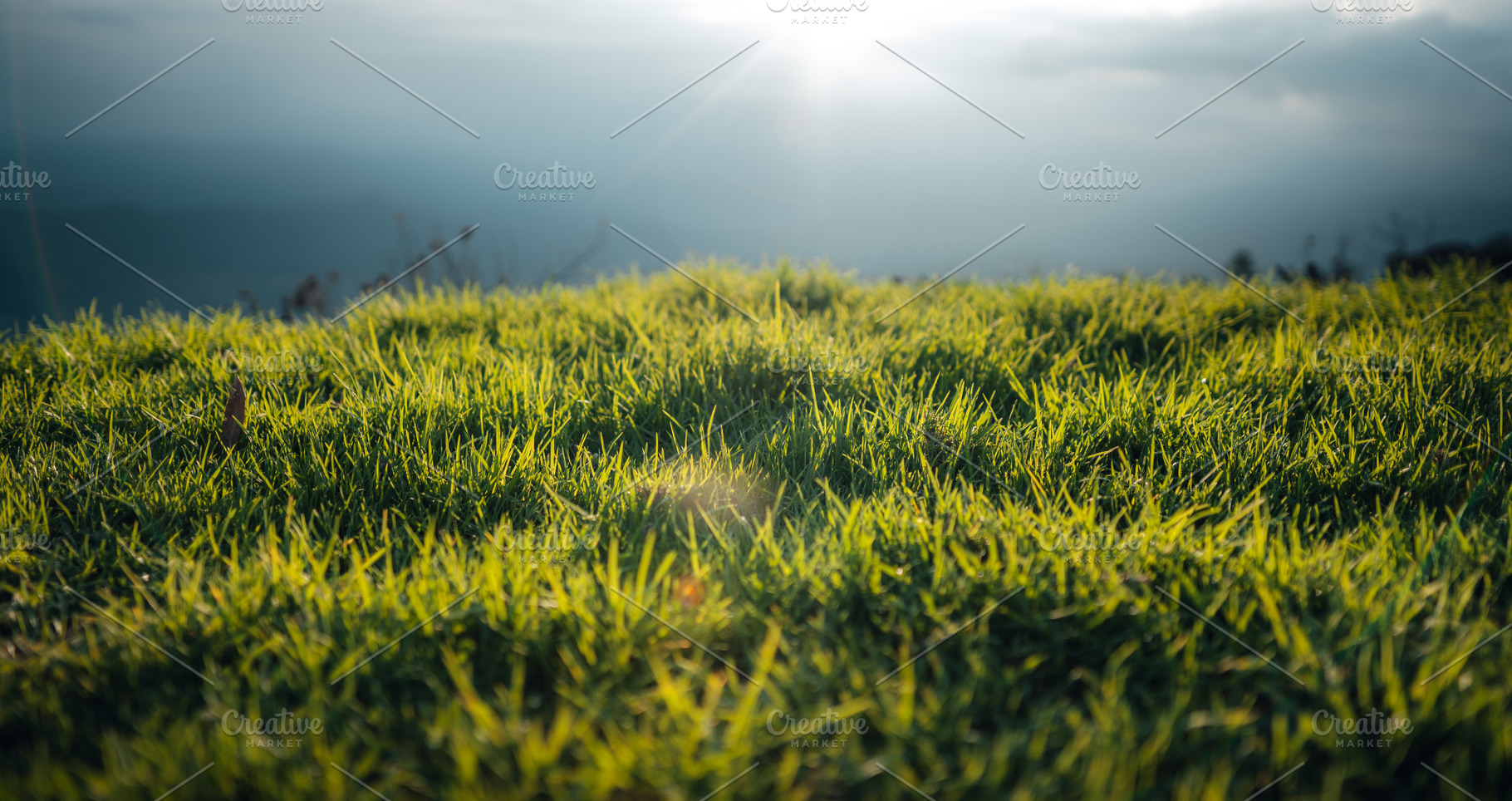 Green fields on the mountains in summer, a Nature Photo by Art Rachen