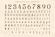 Classy Exclusive - Luxury Serif Font, a Serif Font by Say Studio (Thumbnail 13 of 13)