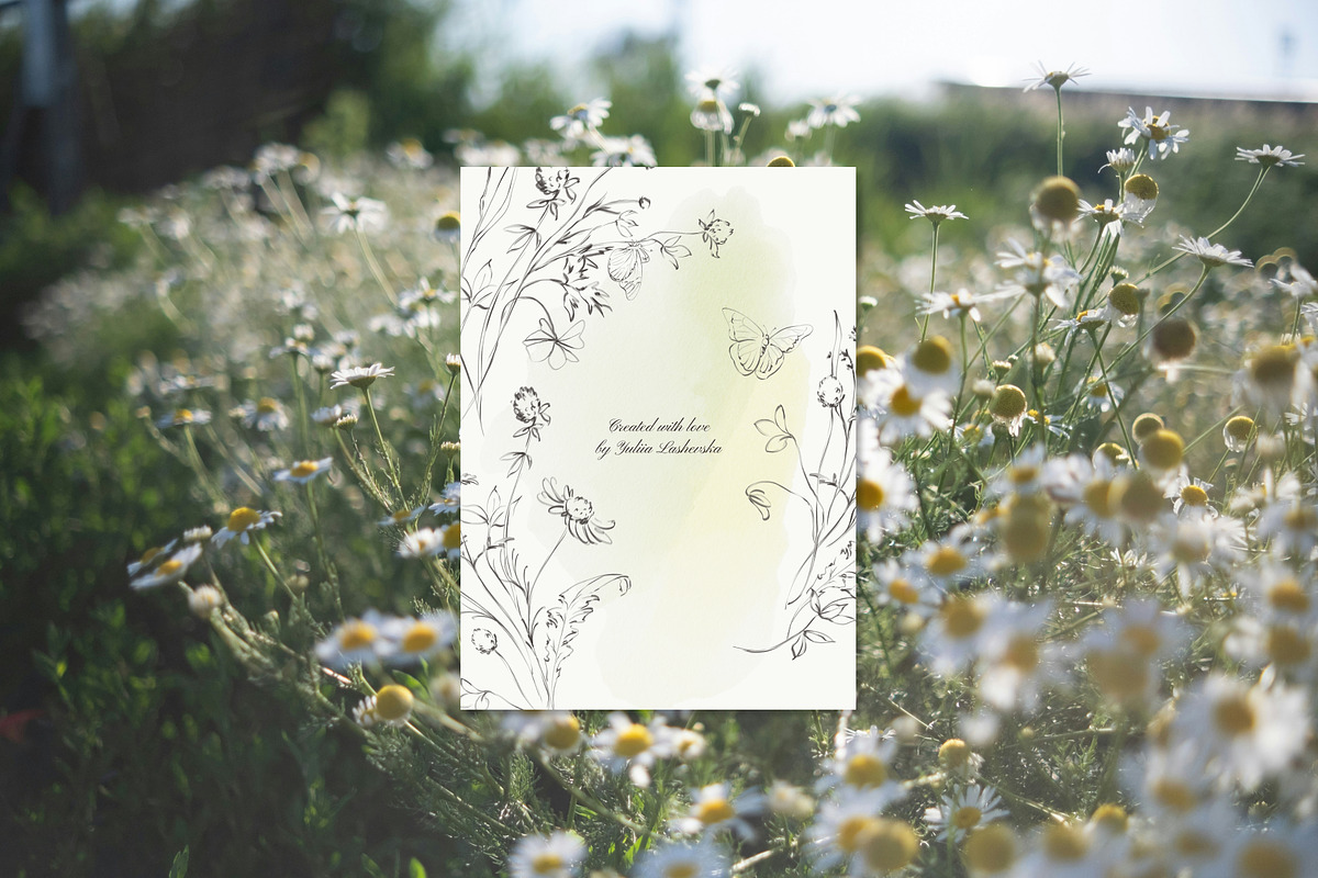 Meadow Mist: Pencil Floral Sketches, a Decorative Illustration by Yuliia Lashevska (Photo 12 of 12)