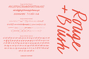 Script Font Duo Rouge +Blush, a Handwritten Font by pixelcolours (Thumbnail 14 of 20)