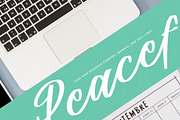 Althena Juliette Modern Elegant, a Script Font by stylishtype.co (Thumbnail 9 of 20)
