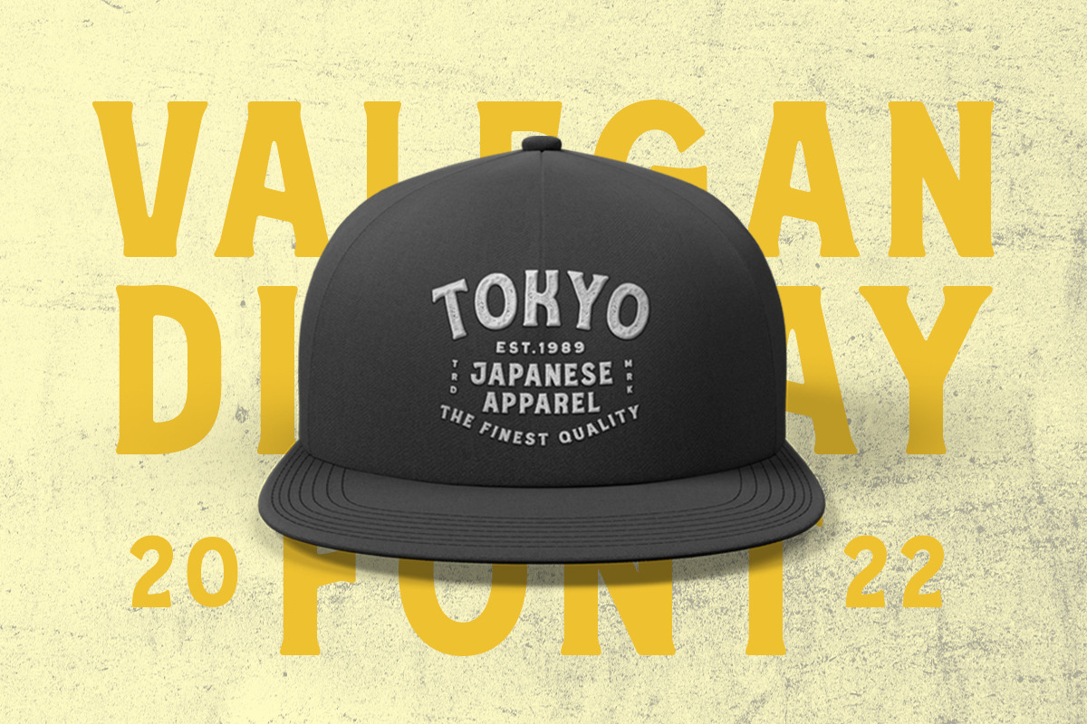Valegan Font - Bonus Illustration, a Font by Letterhend Studio (Photo 8 of 12)