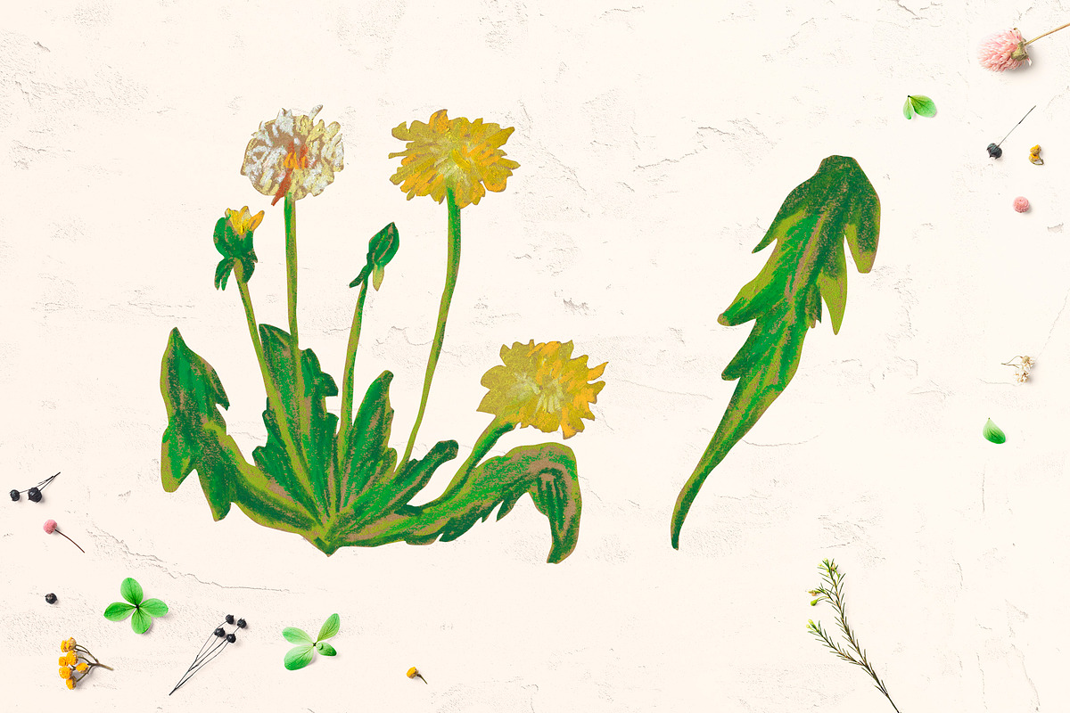 Cute Crayon Child Dandelion Flower, a Healthcare Illustration by Lucyinyourheart (Photo 2 of 6)