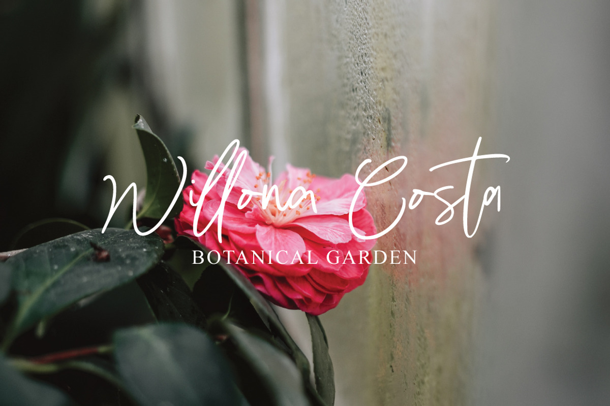 Mahistri - Handwritten Signature, a Handwritten Font by tebaltipislab (Photo 8 of 10)