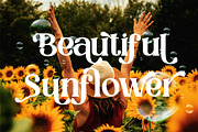 Magic Love Elegant Serif Font, a Serif Font by Cut Story (Thumbnail 2 of 11)