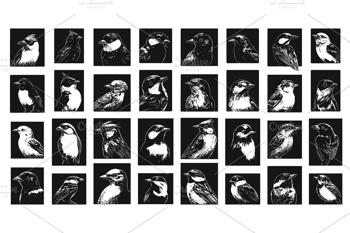 Various Birds Portraits In Squares, an Illustration by LadadikArt