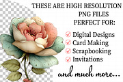 Summer Garden Watercolor Clipart, an Illustration by Daily.Designs (Thumbnail 2 of 7)