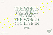 TAN - GIOK, a Serif Font by TanType (Thumbnail 11 of 25)