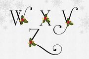 Holiday Alphabet Design Set, a Decorative Illustration by Maggie Stilwell Design (Thumbnail 10 of 10)