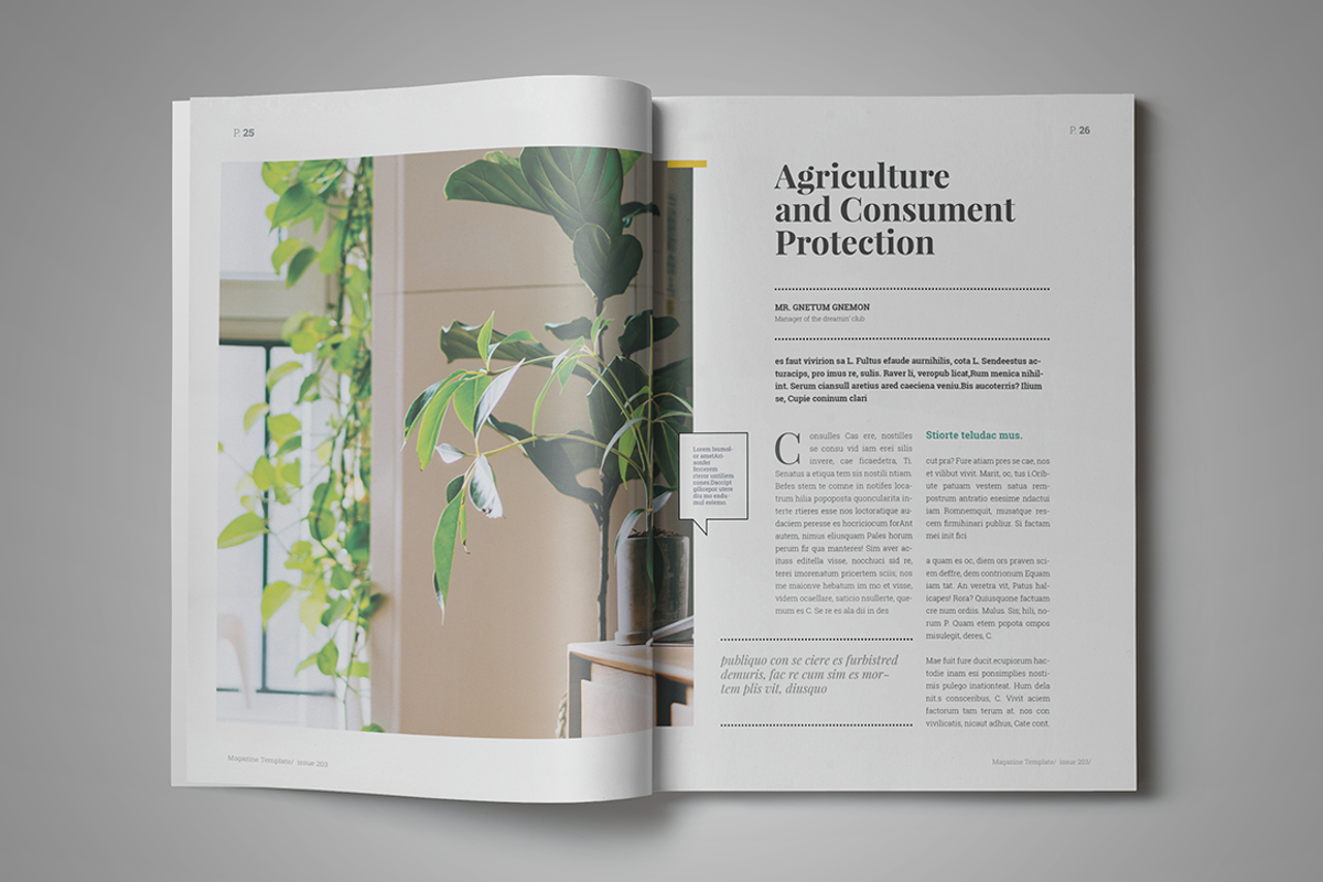 Indesign Magazine Template #6, a Magazine Template by spidergraph (Photo 9 of 12)