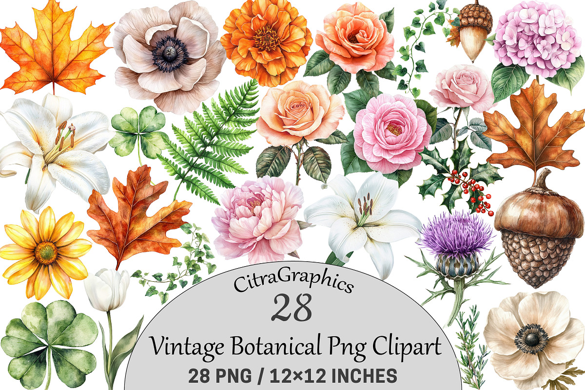 Vintage Botanical Clipart, an Illustration by CitraGraphics (Photo 1 of 4)