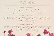 Sweetie Darling, a Script Font by Nathatype (Thumbnail 9 of 11)