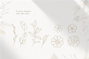 Magic Flowers - watercolor collectio, an Object Graphic by Julia M. Watercolor (Thumbnail 10 of 14)