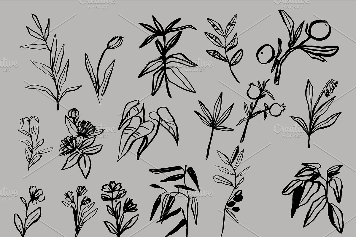 Minimalistic botanica, an Object Graphic by Mii Lab (Photo 13 of 14)