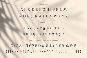 Dunsmuir - Modern Serif Font