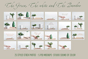 The Green, The White and The Bamboo, an Arts & Entertainment Photo by Sound of Color (Thumbnail 10 of 10)
