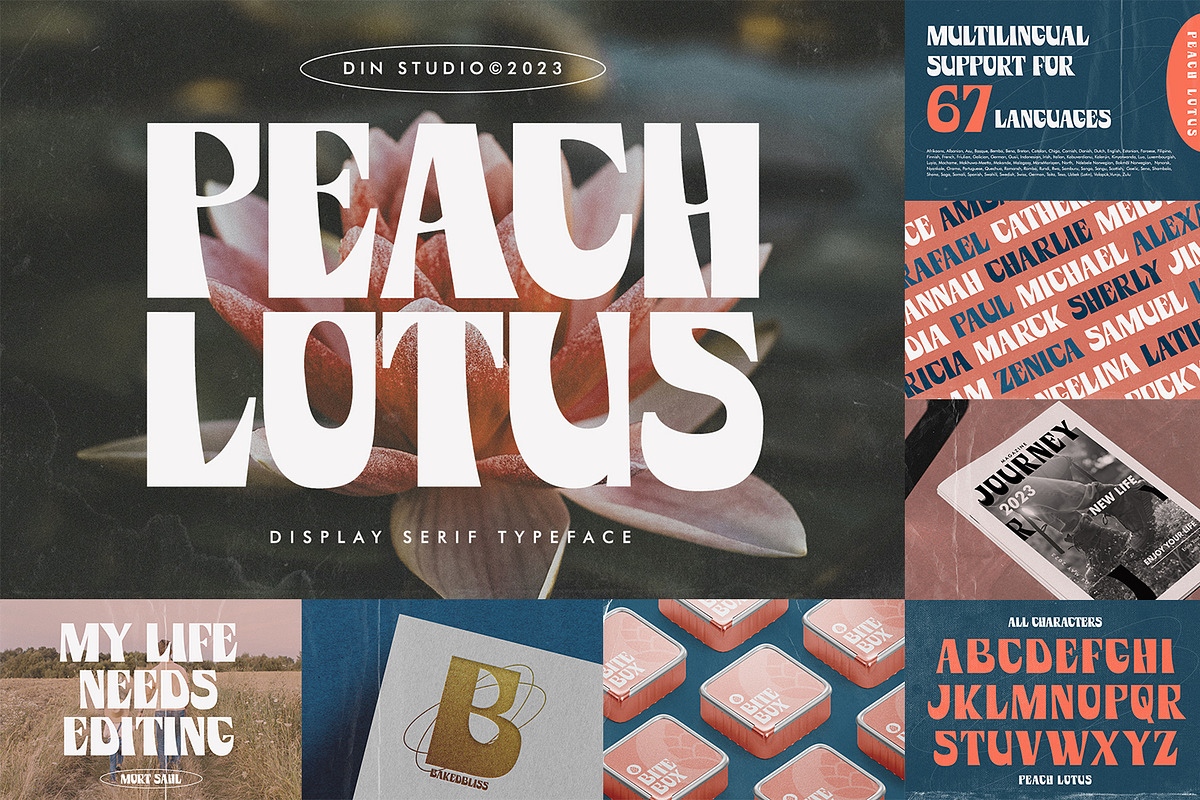 Modern Display Font Bundle 5, a Script Font by Nathatype (Photo 6 of 10)