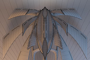 Concept of Spaceship Crow, a Cars & Vehicle 3D Model by 3D Models by Obshansky (Thumbnail 15 of 15)