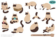 Cartoon cats clipart set, an Animal Illustration by pet design shop (Thumbnail 4 of 12)