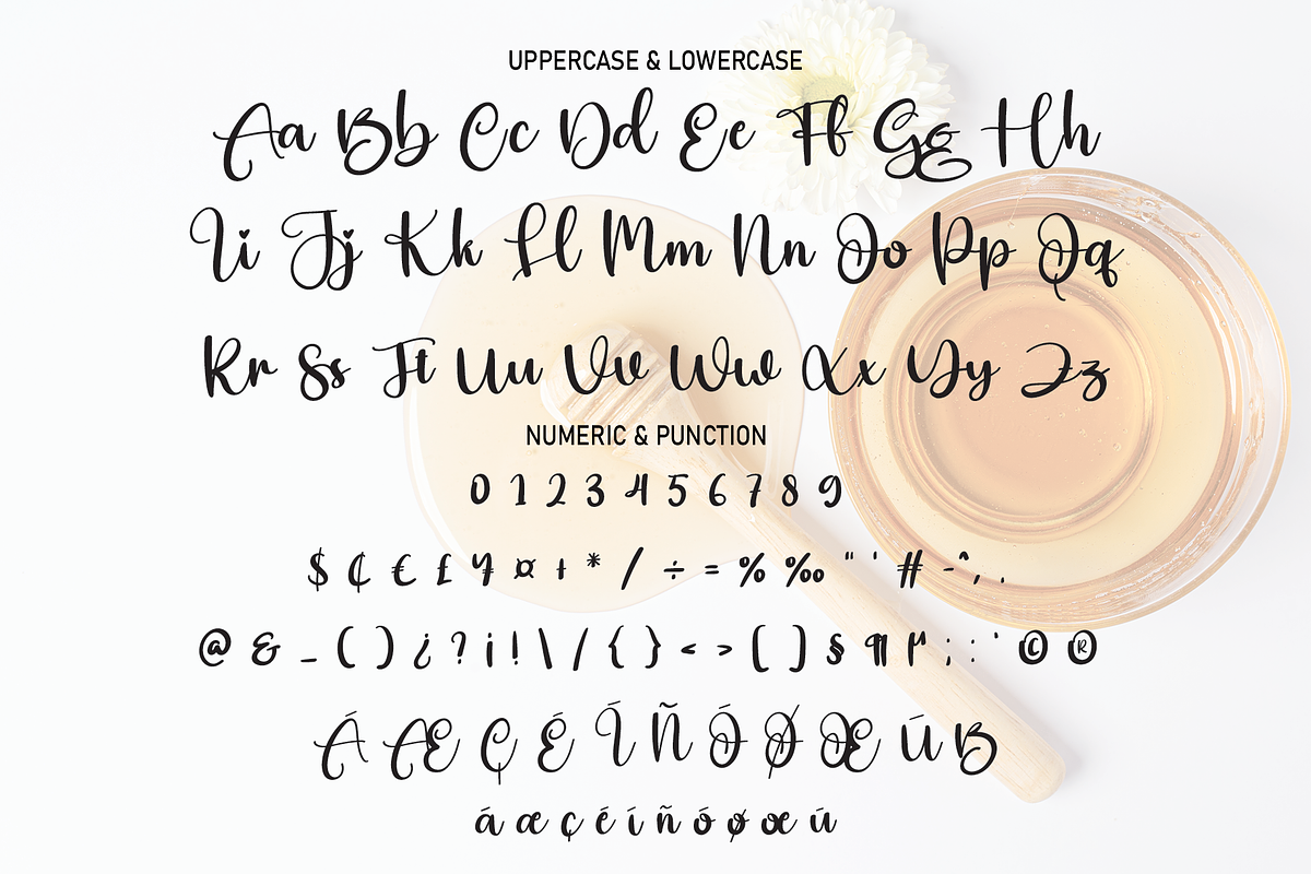 Beelover | Script Font, a Script Font by Scratchones (Photo 3 of 8)