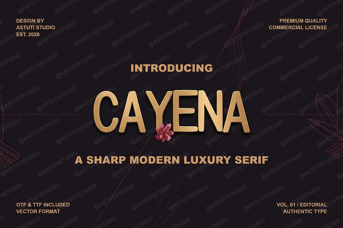 Cayena - Modern Serif, a Serif Font by Astuti Studio (Photo 3 of 25)