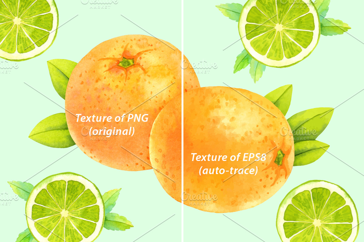Watercolor citrus set, a Food Illustration by Evgeniia Zagreeva (Photo 3 of 5)